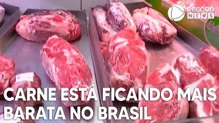 Carne bovina está ficando mais barata no Brasil [upl. by Chloette77]