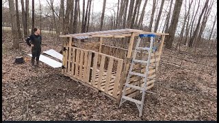 Building A Chicken Coop Out of Pallets  Part 1 Bainbridge Blooms [upl. by Hteazile]