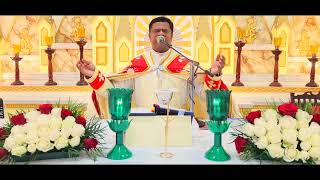 Holy Mass November 30 Thursday I 530 AM I Malayalam I Syro Malabar I Fr Bineesh Augustine [upl. by Albur]