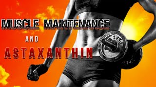 Muscle Maintenance and Astaxanthin [upl. by Dorkus553]