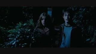 Harry Potter the Prisoner of Azkaban Harry Hermione part 2 [upl. by Airekat]