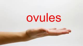 How to Pronounce ovules  American English [upl. by Otiv179]