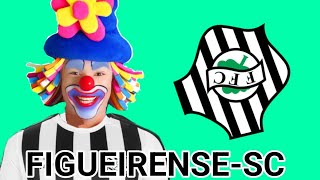 Hino da Zueira  Figueirense [upl. by Gault]