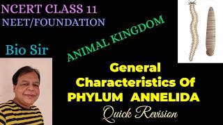 Phylum Annelida  Animal Kingdom  Diversity in Living Organisms  Biology NCERT [upl. by Esinehc960]