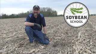 Soybean School Five key agronomic decisions for planting season [upl. by Dnumde]