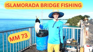 Winter Islamorada Bridge Fishing Florida Keys wbonniehoellein Family what a Fun Day For the Kids [upl. by Alleroif]