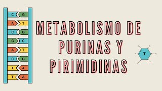 BioquímicaAcNucleicos  Metabolismo de purinas y pirimidinas  sem 14 URP [upl. by Palmer]