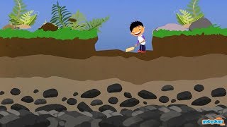 Soil Profile of Earth  Soil Layers and Horizons  Geography for Kids  Educational Videos by Mocomi [upl. by Nwahsud]