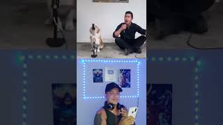 Perro canta con su propietario 😍 [upl. by Bastian792]