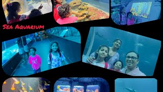 Sea Aquarium Singapore FirstInternationalTrip FamilyTrip SeaAquarium Dolphin SingaporeTrip [upl. by Cherye]