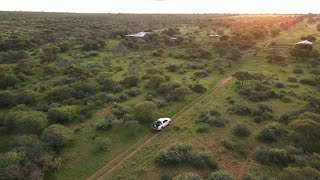 Drone footage of a South African farm in die bushveld [upl. by Morette]