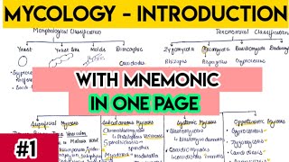 Mycology introduction  Fungi introduction with trick  fungi classification [upl. by Giorgia]