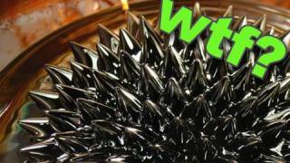 How to make Magnetic Fluid ferro fluid [upl. by Youlton200]