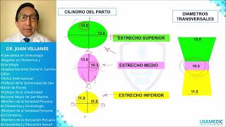 Pelvimetría  Planos de HODGE y LEE USAMEDIC  Obstericia 4 [upl. by Neelac]