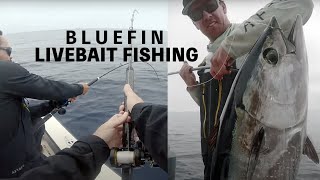 Catching Bluefin Tuna on Live Bait  Private Boat [upl. by Uyr853]