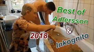 Best of Adlersson amp Inkognito 2018 [upl. by Casia]