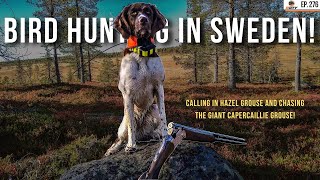 Bird Hunting in Sweden  Ep 276 [upl. by Ackerman]