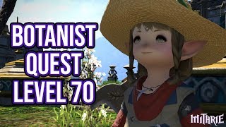 FFXIV 458 1319 Botanist Quest Level 70 [upl. by Gainor]