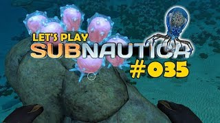 Subnautica deutsch 🔱 035 Die Krabben werden die ersten sein  Subnautica german gameplay [upl. by Zalea]