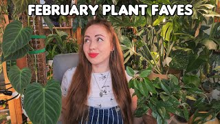 ✨️Fun February houseplant favorites✨️  little announcement🤭 [upl. by Thorsten]