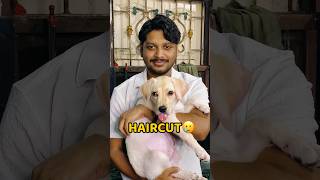 Baal Chote Kara Liye🥲🥲 shorts vlog minivlog haircut hair [upl. by Llewkcor931]