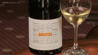 Amistat Blanc 2014 wine review [upl. by Gualtiero319]