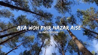 Aya Woh Phir Nazar AiseSlowedReverbsong [upl. by Akenot551]