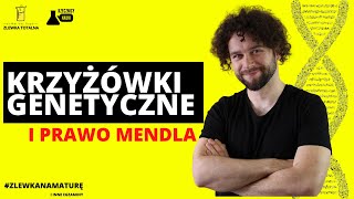 KRZYŻÓWKI GENETYCZNE I PRAWO MENDLA  Genetyka klasyczna Matura z biologii 2023 [upl. by Akinorev]