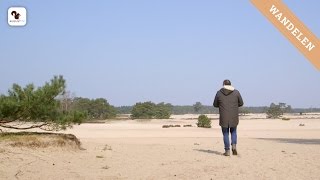 Wandelen in de Soesterduinen [upl. by Enyamrahc741]