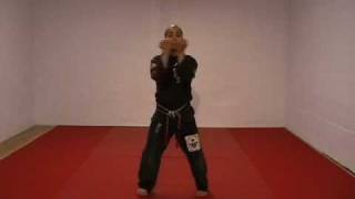 CASA DE KENPO  AMERICAN KENPO  LONG FORM 3 [upl. by Horn]