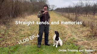 Training my English Springer spaniel puppy Billys Vlog Ep6 [upl. by Ebony]