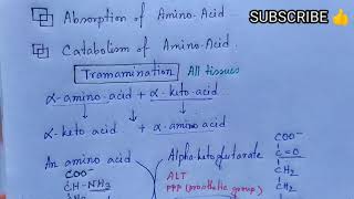 Transamination  Transdeamination of Amino Acids  Note  MEDU [upl. by Amend672]