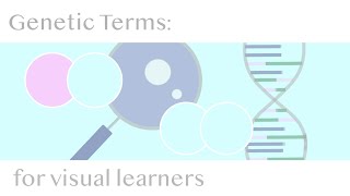 Genetics Terms Homozygous Heterozygous Genotype amp Phenotype [upl. by Lledrac208]