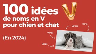 Les meilleurs noms en V pour chiens et chats année 2024 [upl. by Yelrahs]