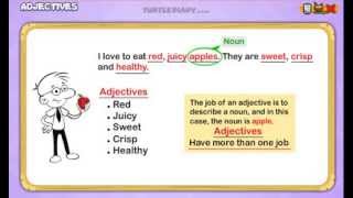 Adjectives Everything You Need To Know Grammar for Kids [upl. by Alyar]