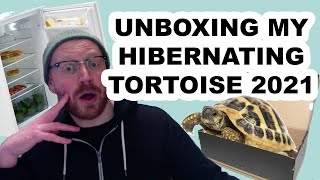 Unboxing My Hibernating Tortoise 2021 [upl. by Kcirb438]