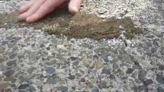 HOW TO Apply amp Match crack filler to exposed aggregate driveway [upl. by Yrome148]