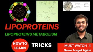 Lipoproteins Biochemistry  Lipoprotein Metabolism Structure Function  Lipid Metabolism Video [upl. by Anawaj13]