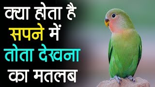 सपने में तोता देखना  Parrot Dream Meaning in Hindi  sapne me tota dekhna Sapne me tota ka dikhna [upl. by Aened]