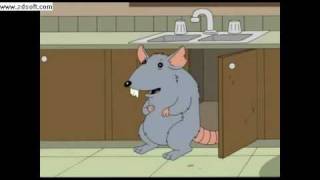 family guy giant rat [upl. by Dorehs]