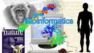 Bioinformatics part 1 What is Bioinformatics [upl. by Suilenroc]