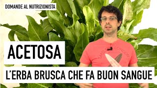 Acetosa e acetosella le quoterbe bruschequot che fanno buon sangue [upl. by Grekin43]