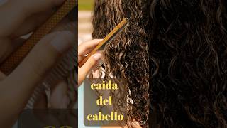 🔴Causas Comunes Hábitos Mitos y descubriendo los verdaderos motivos sobre la Caída del Cabello🔴 [upl. by Miguelita]