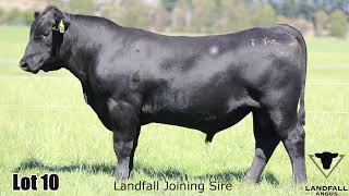 Lot 010 Landfall Rostella TFA22T44 [upl. by Johnsten]