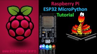 ESP32 MicroPython Tutorial with Raspberry Pi [upl. by Anaile]