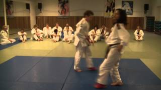 Budoinfo 15 van Bert van Haren  JiuJitsu Duosystem [upl. by Beore995]