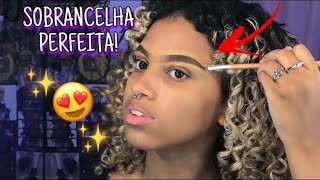 TUTORIAL de sobrancelha para iniciantes [upl. by Epolulot790]