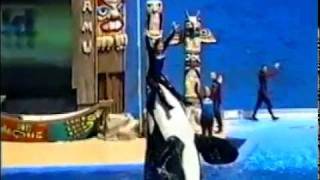 Shamu Show Lisa Hugueleys farewell performance [upl. by Anevad]