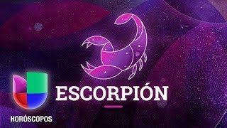 Escorpion  Semana del 21 al 27 de enero  Univision Horóscopos [upl. by Thurmann]