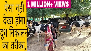 Dinesh Chaudhary Dairy Farm Banaskantha Gujrat India [upl. by Aihsoem]